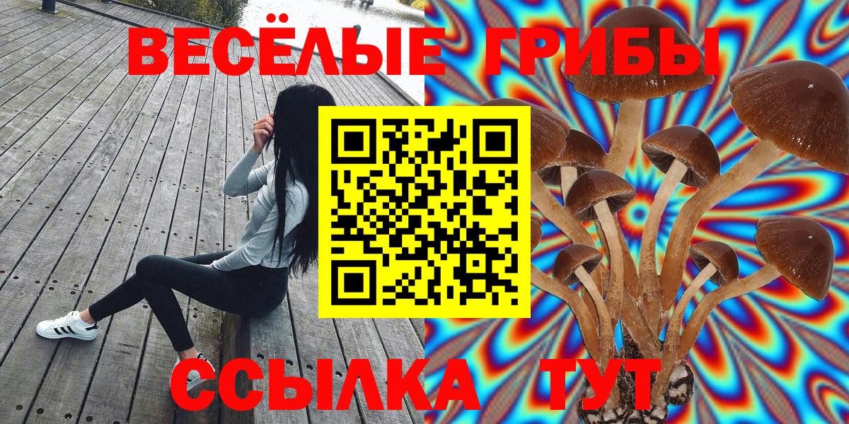 Галлюциногенные грибы Psilocybine cubensis Волжский